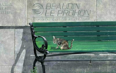 CHLT-TV, 50 ANS À NOTRE IMAGE