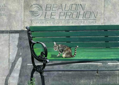 CHLT-TV, 50 ANS À NOTRE IMAGE