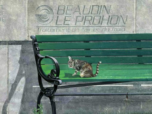 CHLT-TV, 50 ANS À NOTRE IMAGE